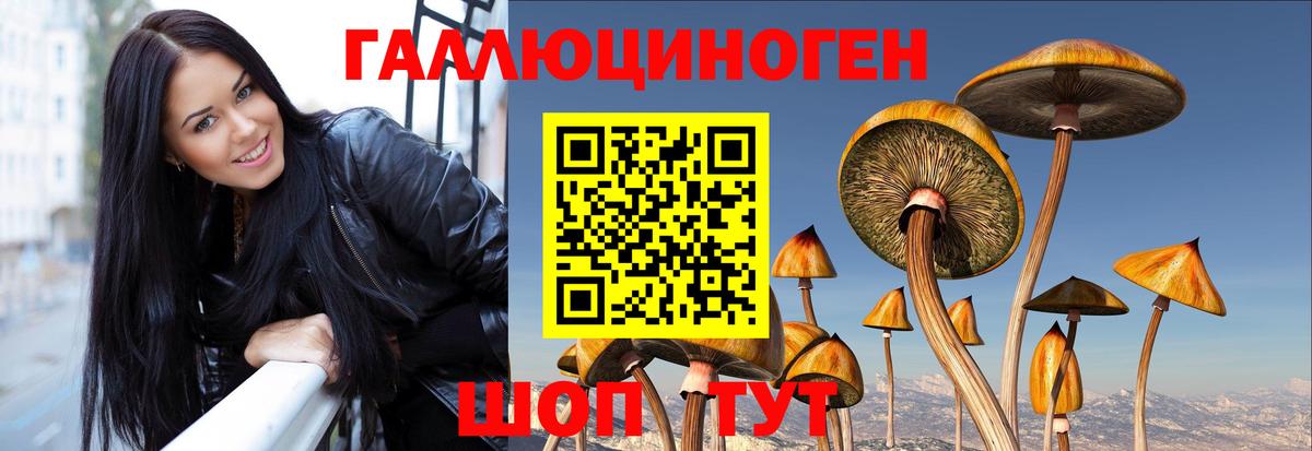 Псилоцибиновые грибы Psilocybe Саранск